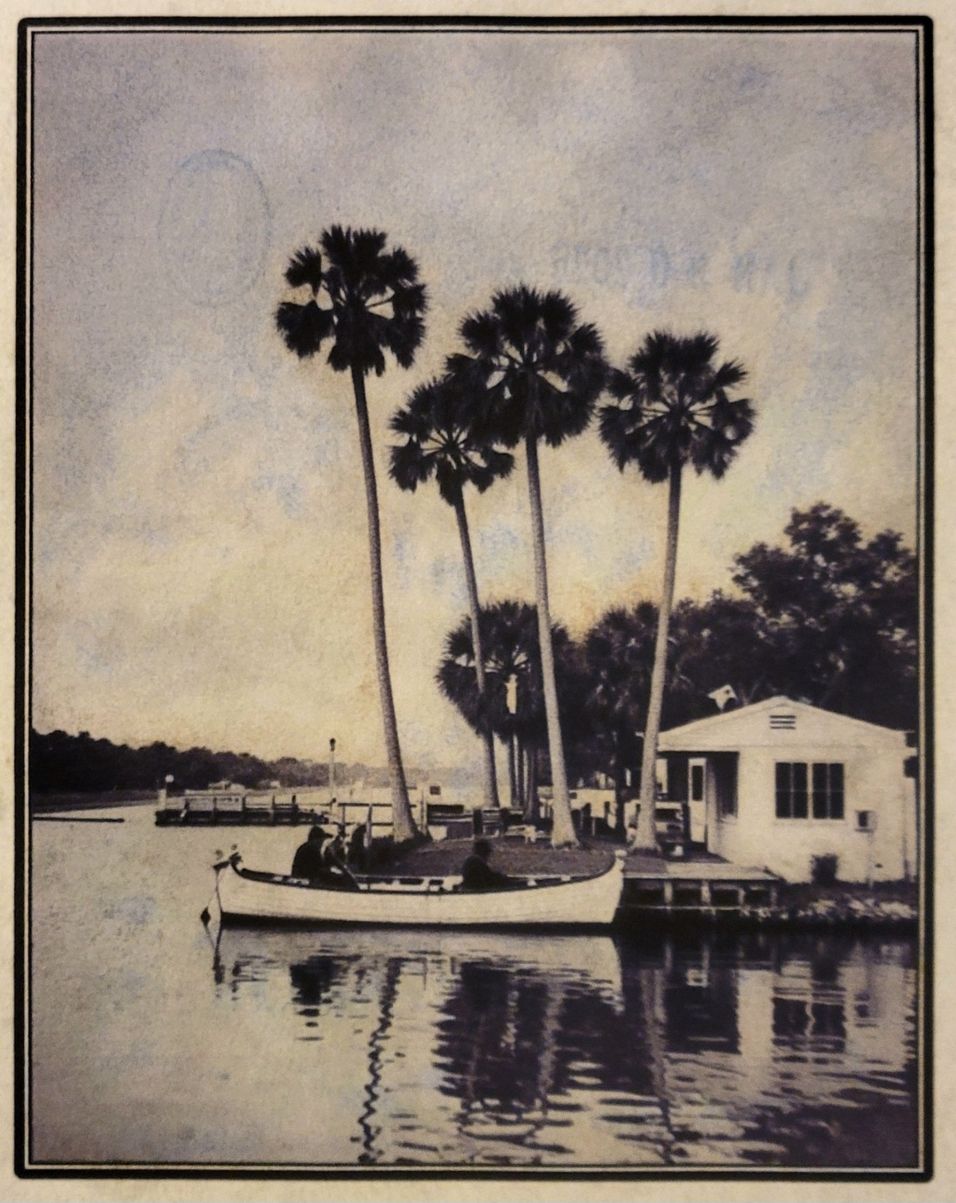 Iron gall print — After Mr. Flagler's Artists, Florida waterway
